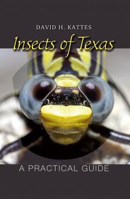 Insects of Texas A Practical Guide  9781603440820 Front Cover