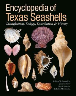 Encyclopedia of Texas Seashells Identification, Ecology, Distribution, &amp; History  9781603441414 Front Cover