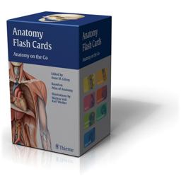 Anatomy Flash Cards Anatomy on the Go  9781604060720 Front Cover