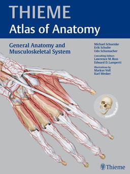 PROMETHEUS Allgemeine Anatomie und Bewegungssystem: 978-3-13-242083-0  9781604062861 Front Cover