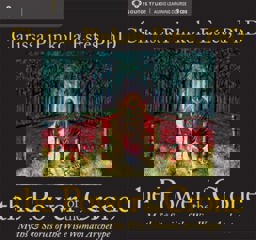 The Power of the Crone:  9781604074321 Front Cover