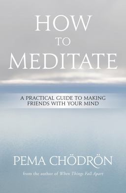 How to Meditate A Practical Guide to Making Friends with Your Mind  9781604079333 Front Cover