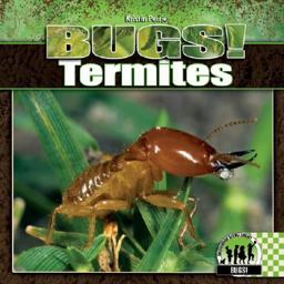 Termites Termites