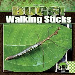 Walking Sticks Walking Sticks