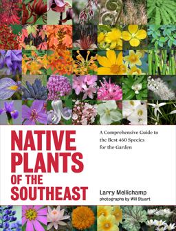 Native Plants of the Southeast A Comprehensive Guide to the Best 460 Species for the Garden  9781604693232 Front Cover
