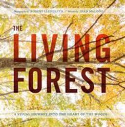 Living Forest A Visual Journey into the Heart of the Woods  9781604697124 Front Cover