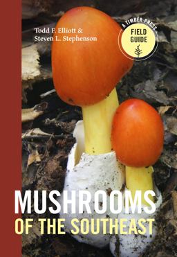 Mushrooms of the Southeast  9781604697308 Front Cover