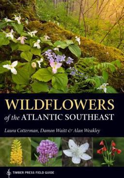 Wildflowers of the Atlantic Southeast  9781604697605 Front Cover