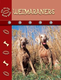 Weimaraners Weimaraners