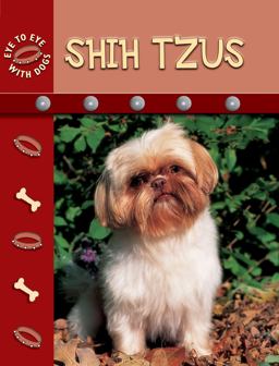 Shih Tzu Shih Tzu