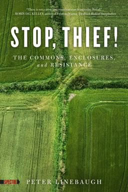 Stop, Thief! The Commons, Enclosures, and Resistance  9781604867473 Front Cover