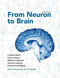 From Neuron to Brain 6th 9781605354392 Front Cover