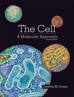 Cell A Molecular Approach 8th 9781605357072 Front Cover