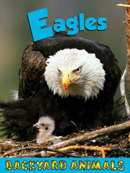 Eagles