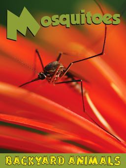 Mosquitoes