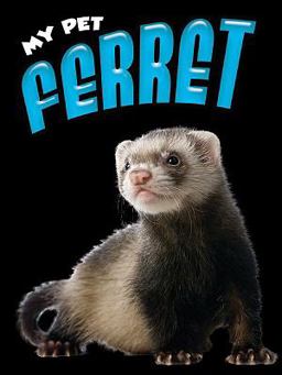 Ferret