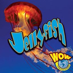 Jellyfish