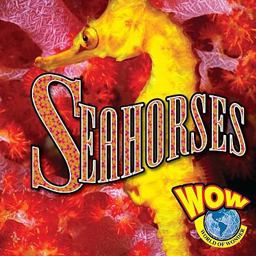 Seahorses