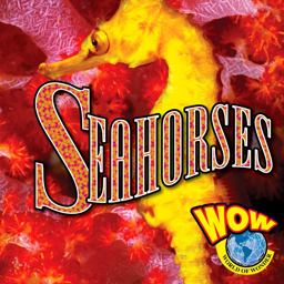 Seahorses