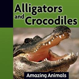 Alligators and Crocodiles