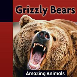 Grizzly Bears