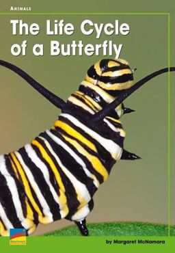 The Life Cycle of a Butterfly