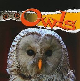Owls