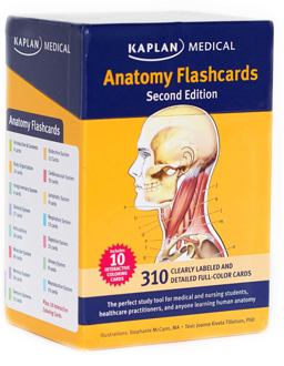 Anatomy Flashcards 2nd 9781607149842 Front Cover