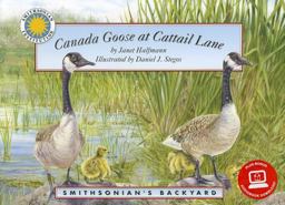 Canada Goose at Cattail Lane