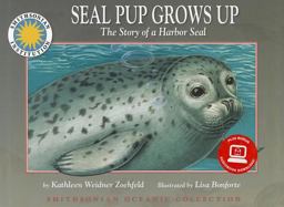 Seal Pup Grows Up