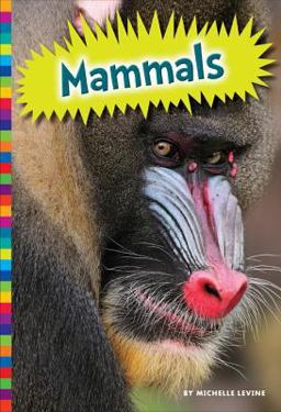 Mammals Mammals