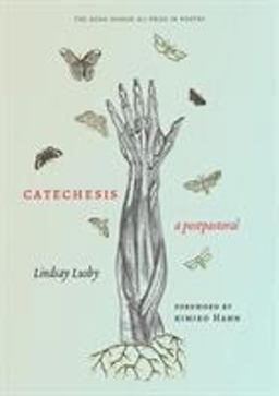 Catechesis A Postpastoral  9781607816973 Front Cover