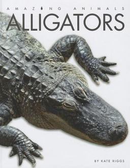 Alligators