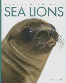 Sea Lions