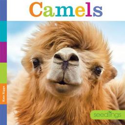 Camels