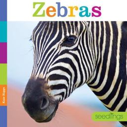 Zebras