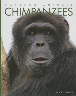 Chimpanzees