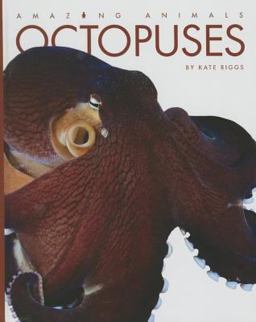 Octopuses