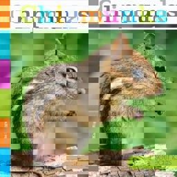 Chipmunks