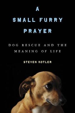 Small Furry Prayer Dog Rescue and the Meaning of Life  9781608190027 Front Cover
