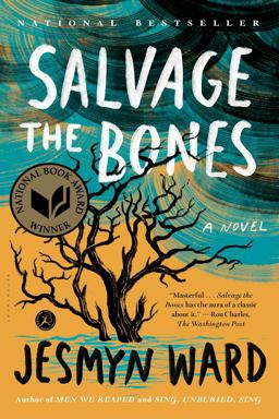 Salvage the Bones A Novel  9781608196265 Front Cover