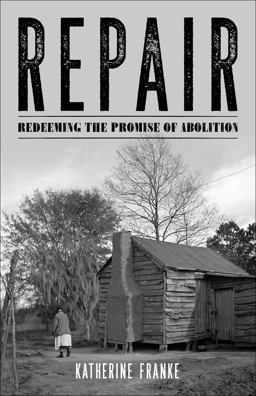 Repair Redeeming the Promise of Abolition  9781608466245 Front Cover