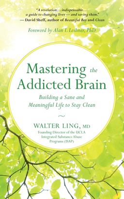 Mastering the Addicted Brain Building a Sane and Meaningful Life to Stay Clean  9781608685004 Front Cover