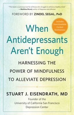 When Antidepressants Aren't Enough Harnessing the Power of Mindfulness to Alleviate Depression  9781608685974 Front Cover