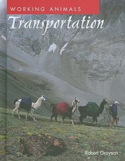 Transportation