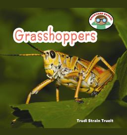 Grasshoppers
