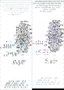 Calming the Rush of Panic A Mindfulness-Based Stress Reduction Guide to Freeing Yourself from Panic Attacks and Living a Vital Life  9781608825264 Front Cover