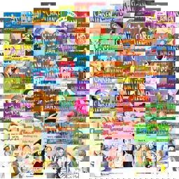 Cam Jansen and the Basketball Mystery