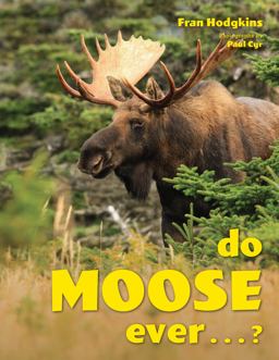 Do Moose Ever ... ?