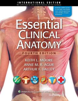 Essential Clinical Anatomy 4th 2010 Revised  9781609131128 Front Cover